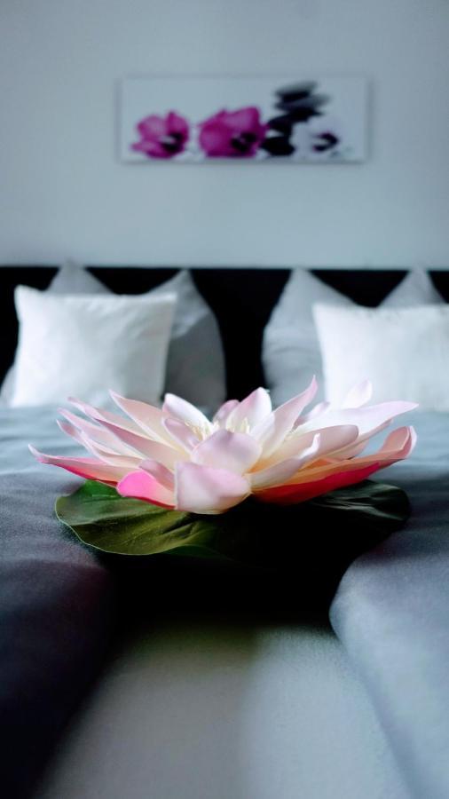 Joe'S Appartement 에브스 객실 사진